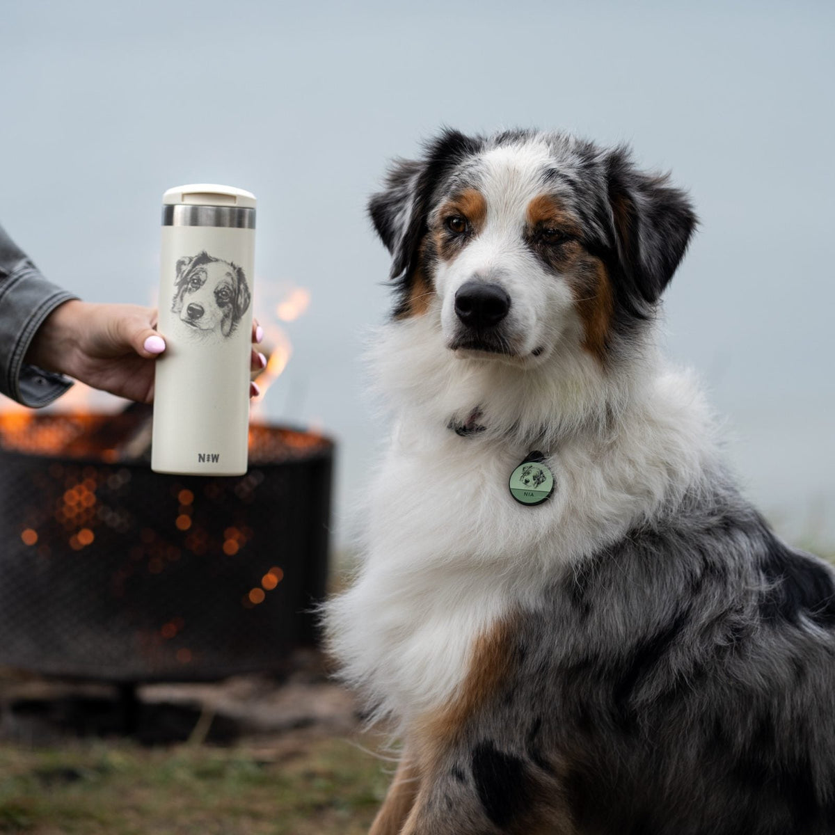 Australian Shepherd next to a cream tumbler with his own portrait