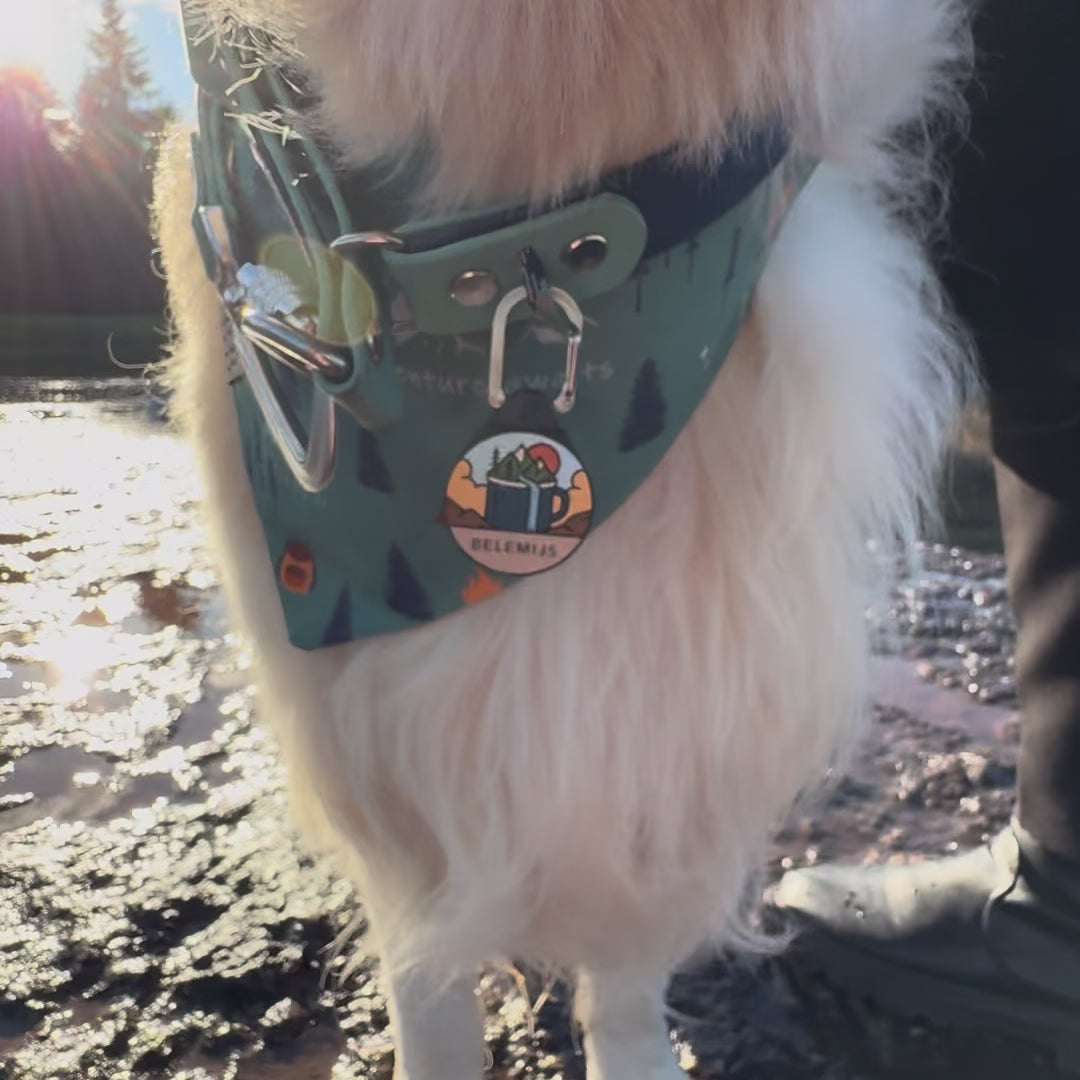 Roastscape™ - Silent Dog ID Tag – Northwoofs