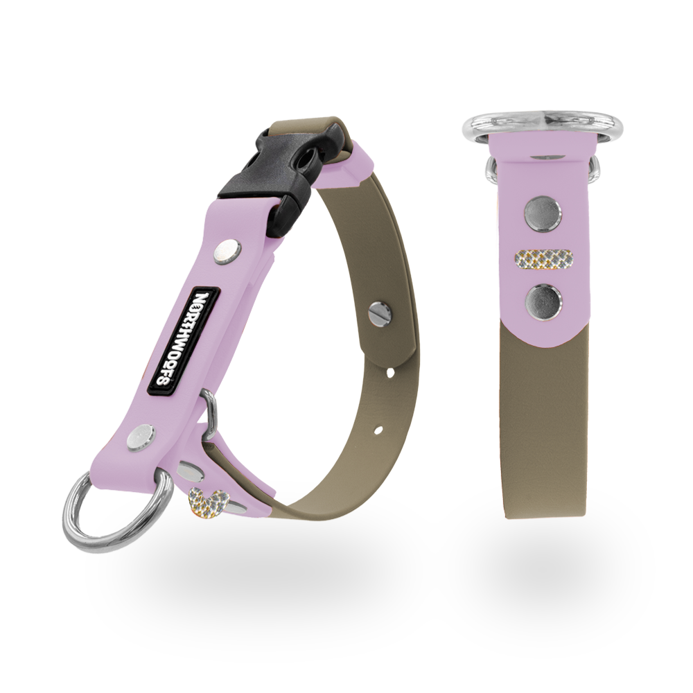 The Tide - Limited QuickSlip™ Collar