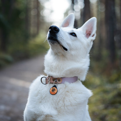 The Squirrel - Silent Dog ID Tag