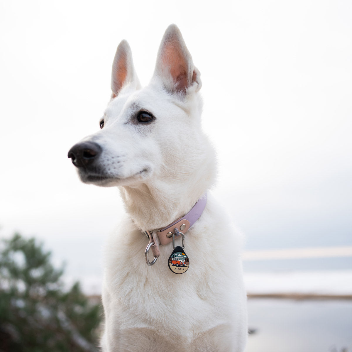 Vanlife - Silent Dog ID Tag – Northwoofs