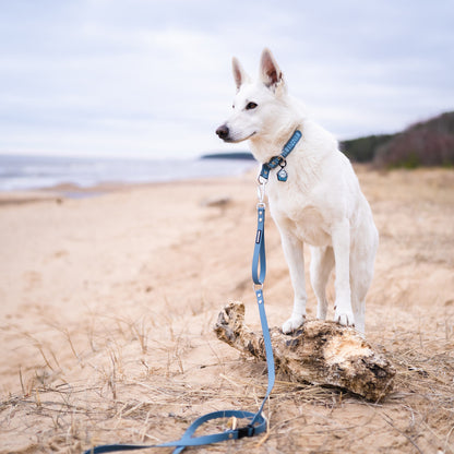 Stormy Blue - The Ultimate Silent Dog ID Tag